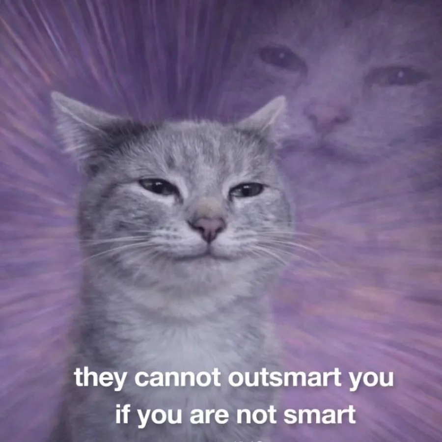 Untitled meme