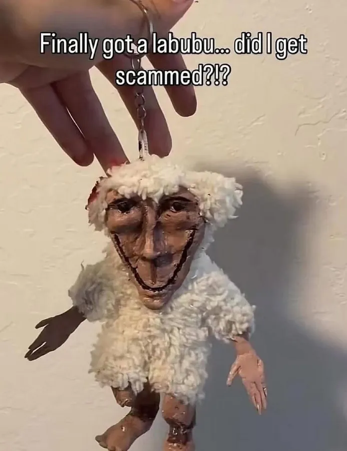 Untitled meme