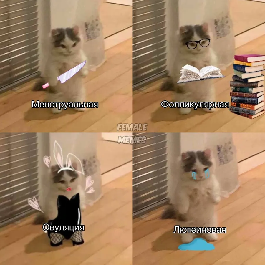 Untitled meme