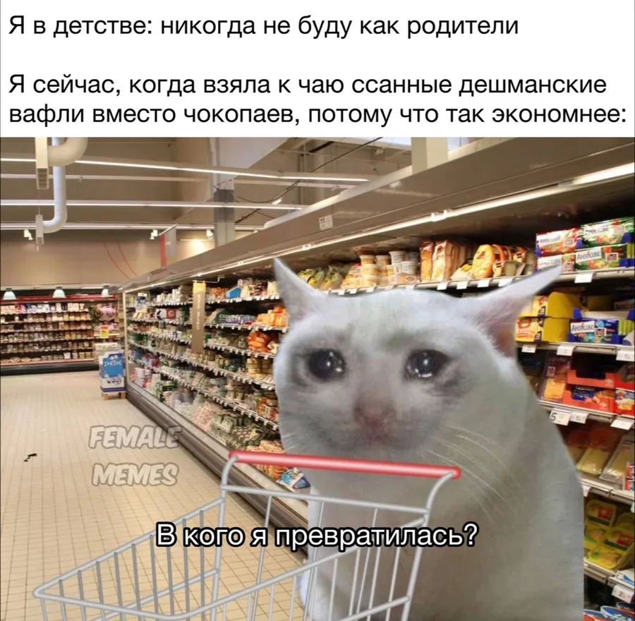 Untitled meme