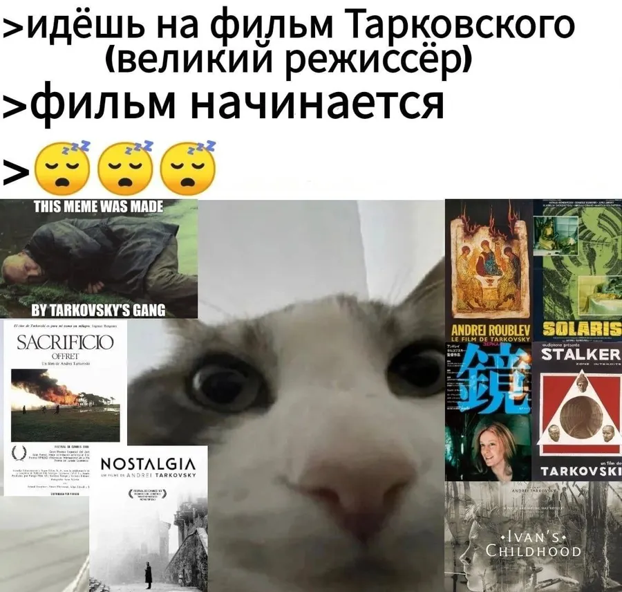 Untitled meme