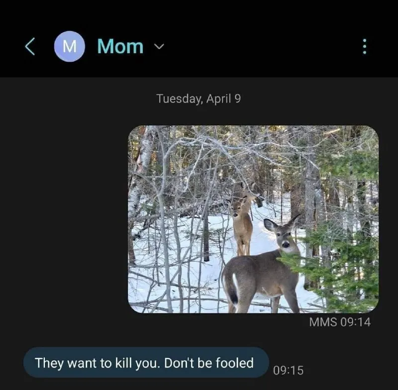 Untitled meme