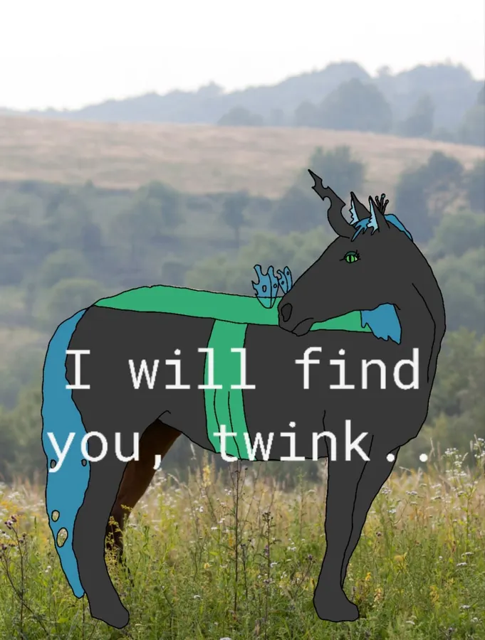 Untitled meme
