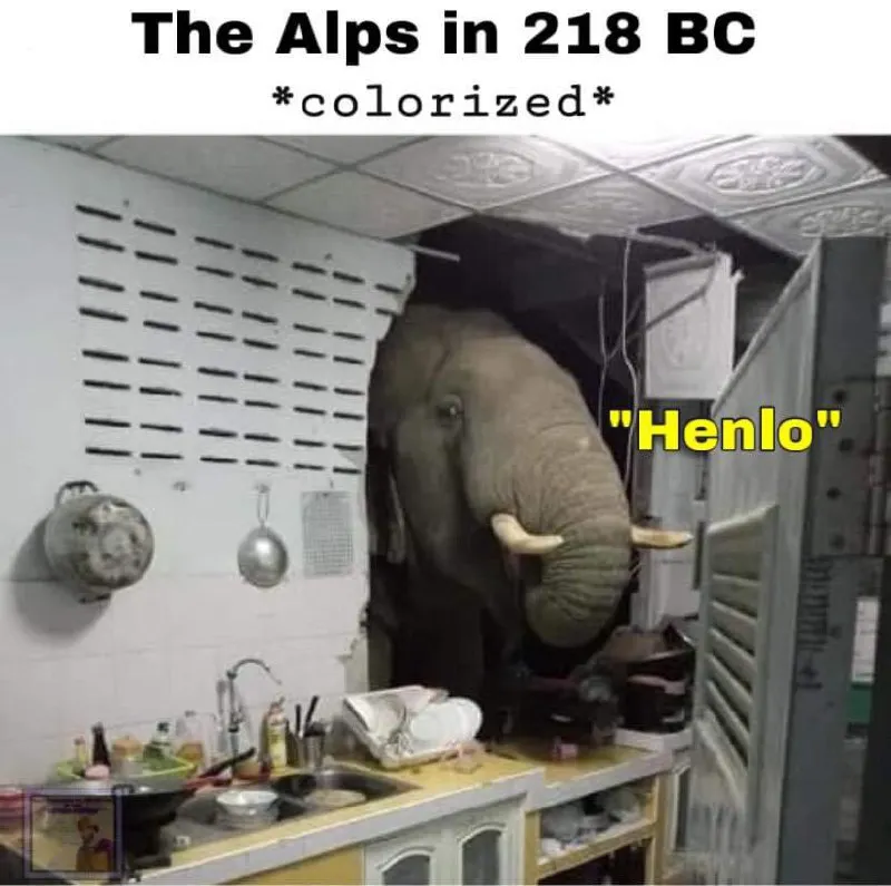 Untitled meme