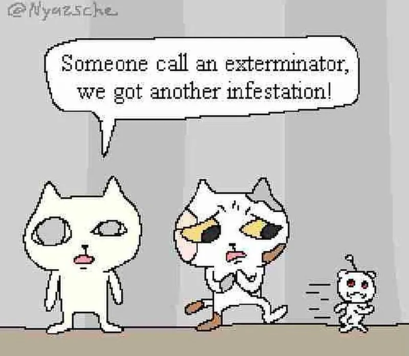 Untitled meme