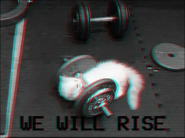 Untitled meme