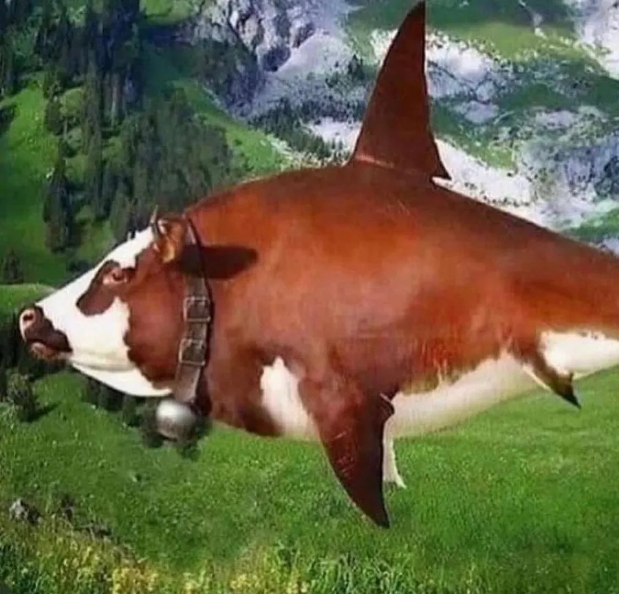 Untitled meme