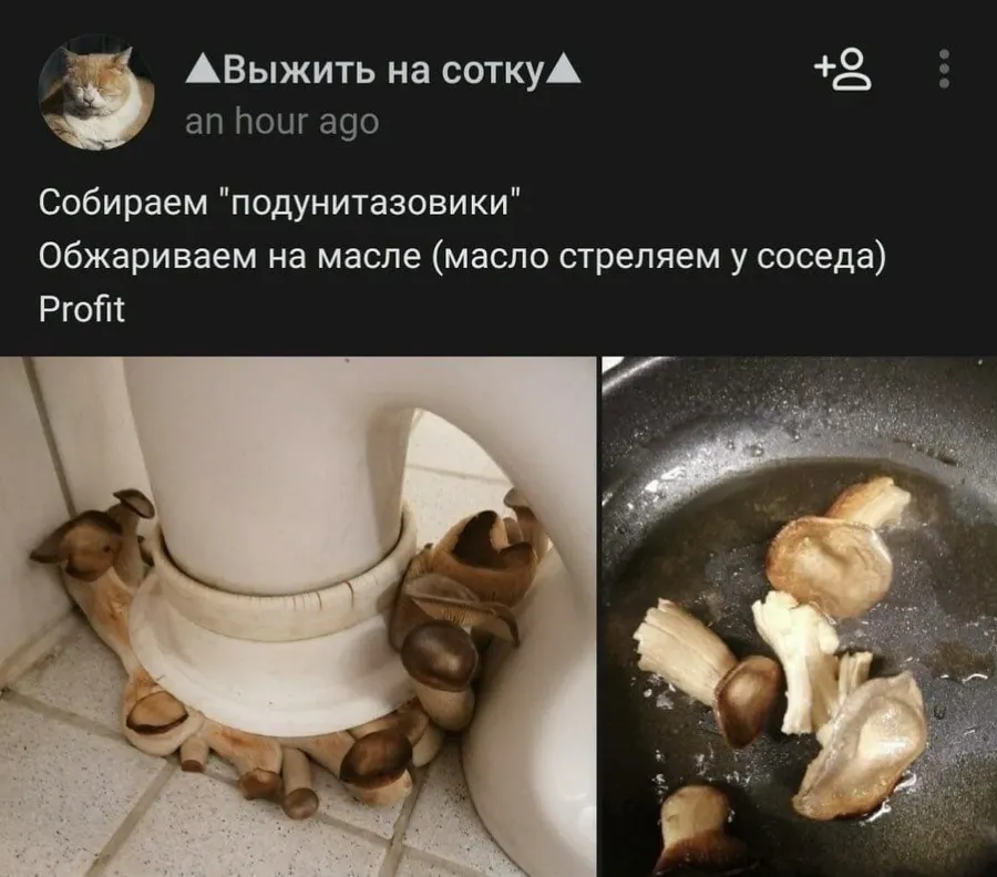 Untitled meme