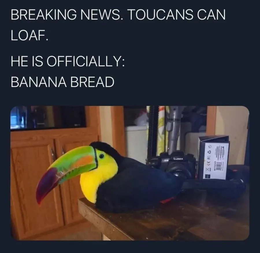 Untitled meme
