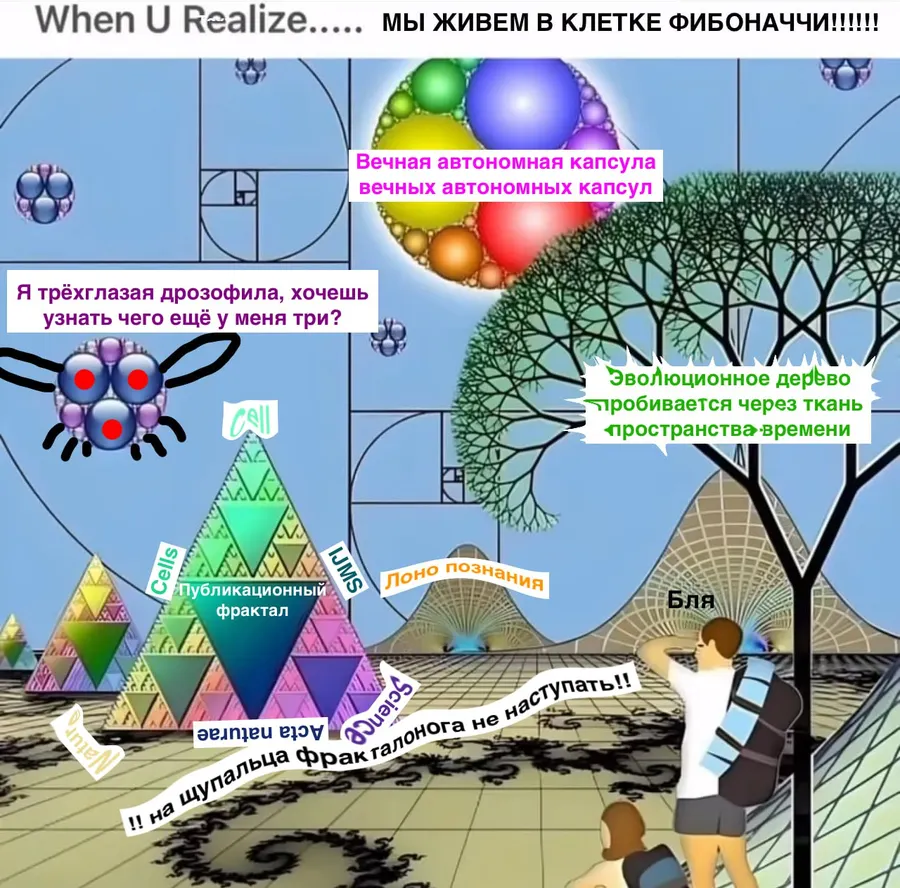 Untitled meme