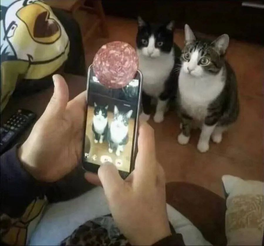 Untitled meme