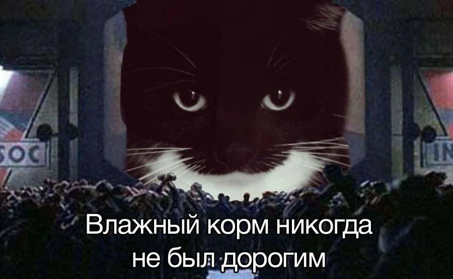 Untitled meme