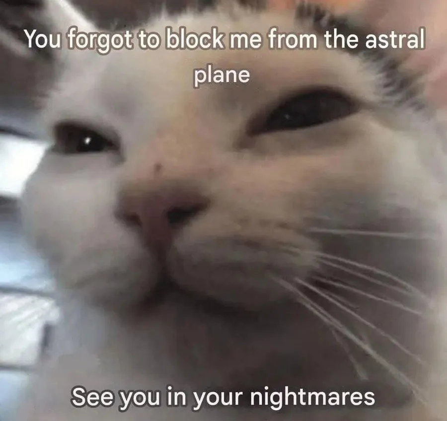 Untitled meme