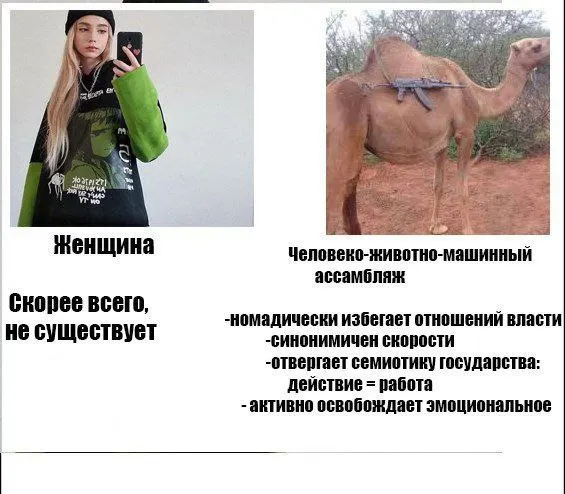 Untitled meme