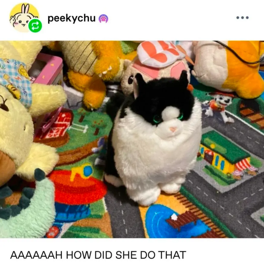 Untitled meme