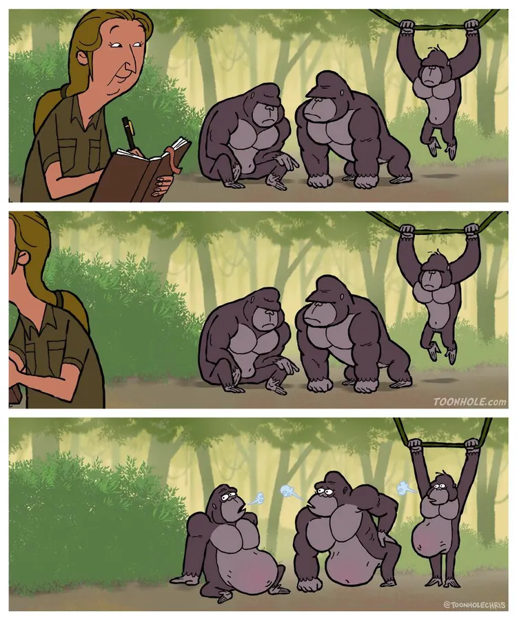 Untitled meme