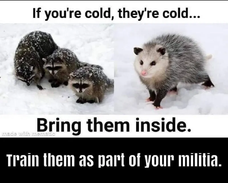 Untitled meme