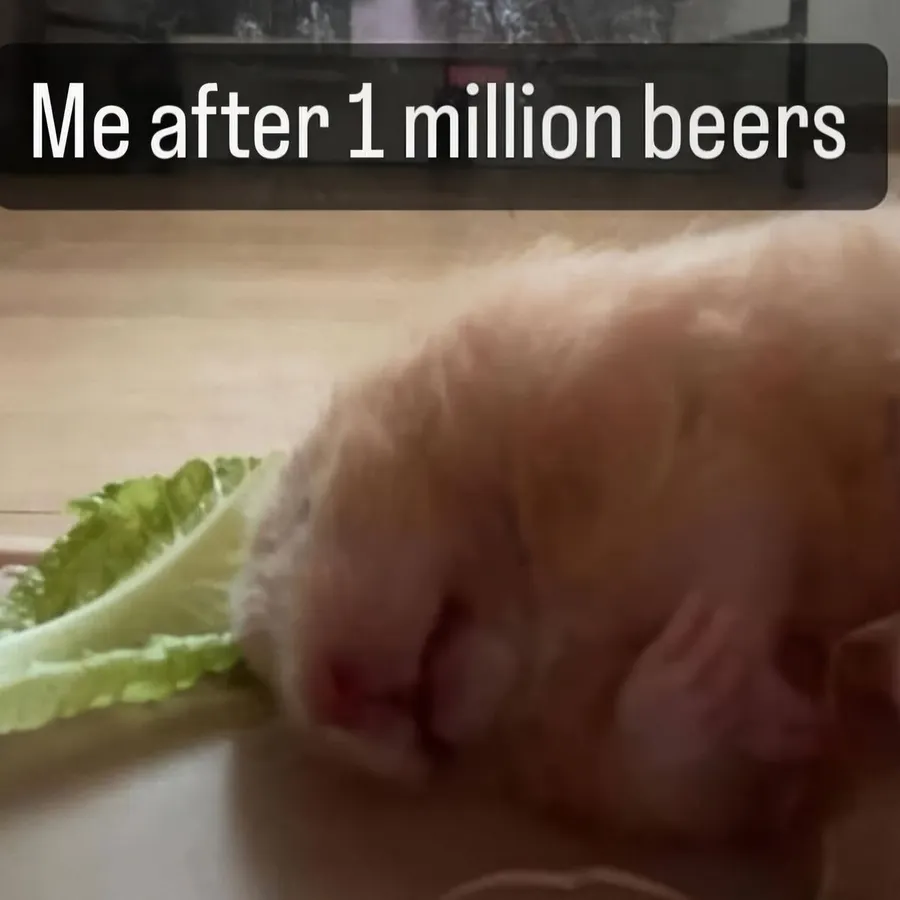 Untitled meme