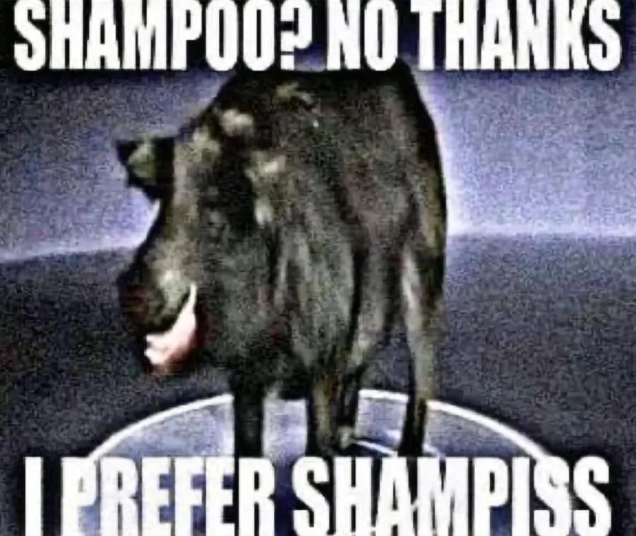 Untitled meme
