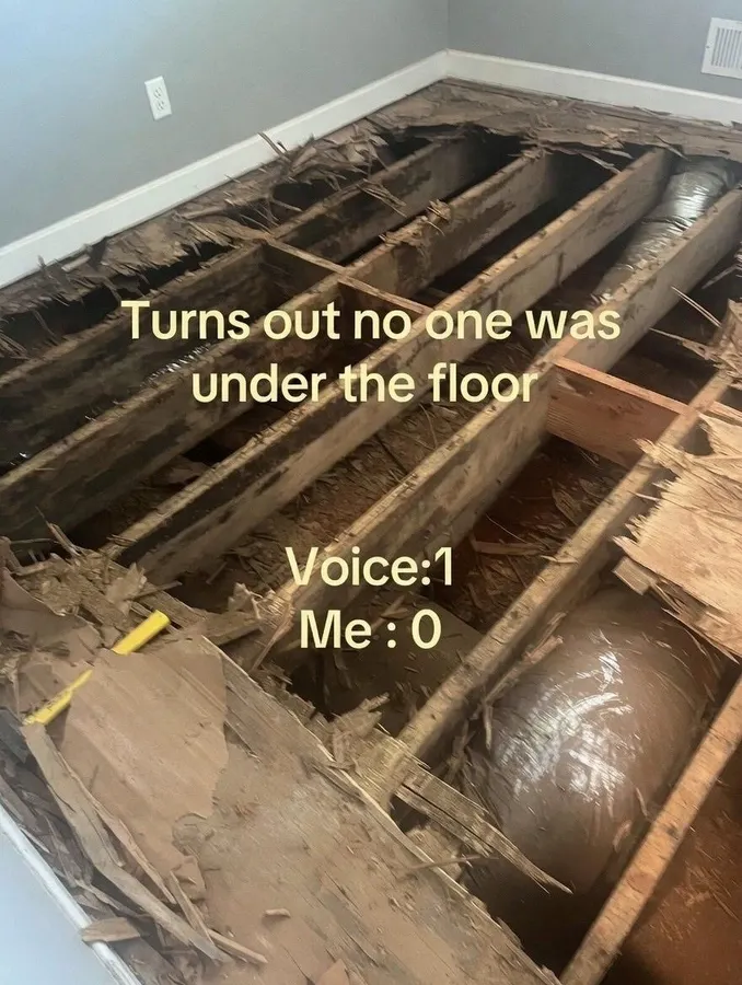 Untitled meme