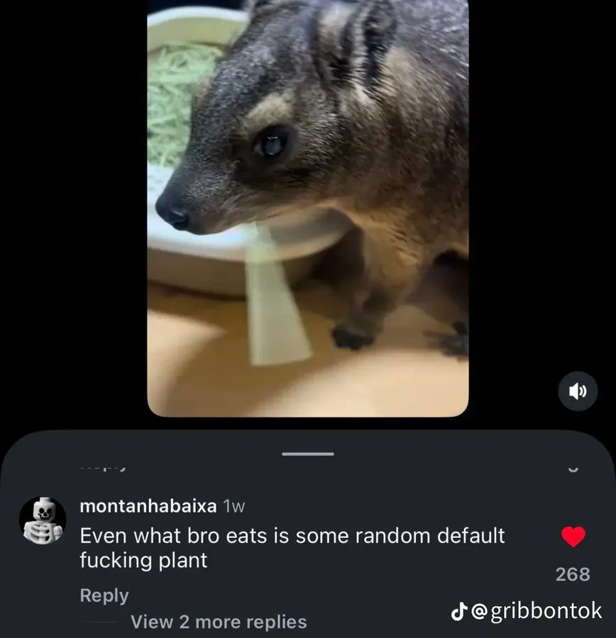 Untitled meme