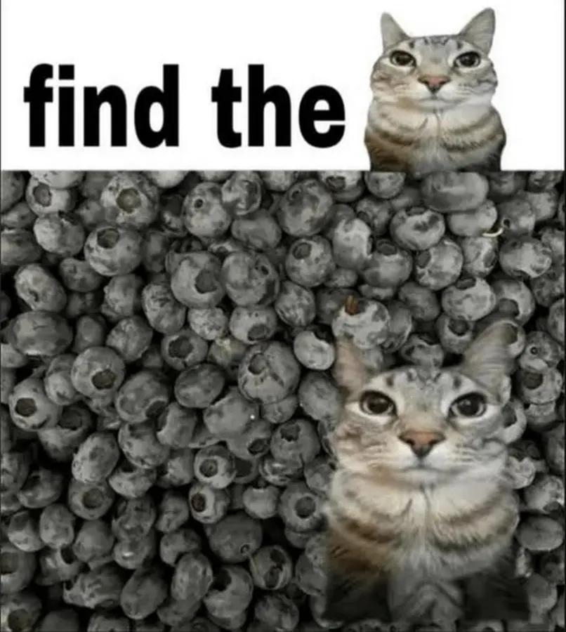 Untitled meme