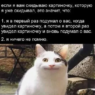 Untitled meme