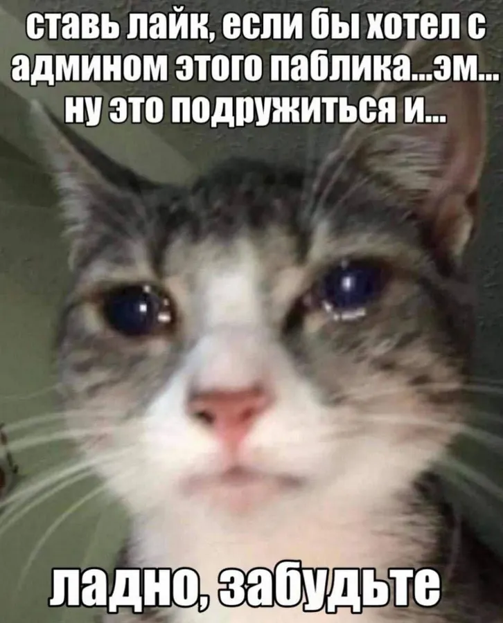 Untitled meme