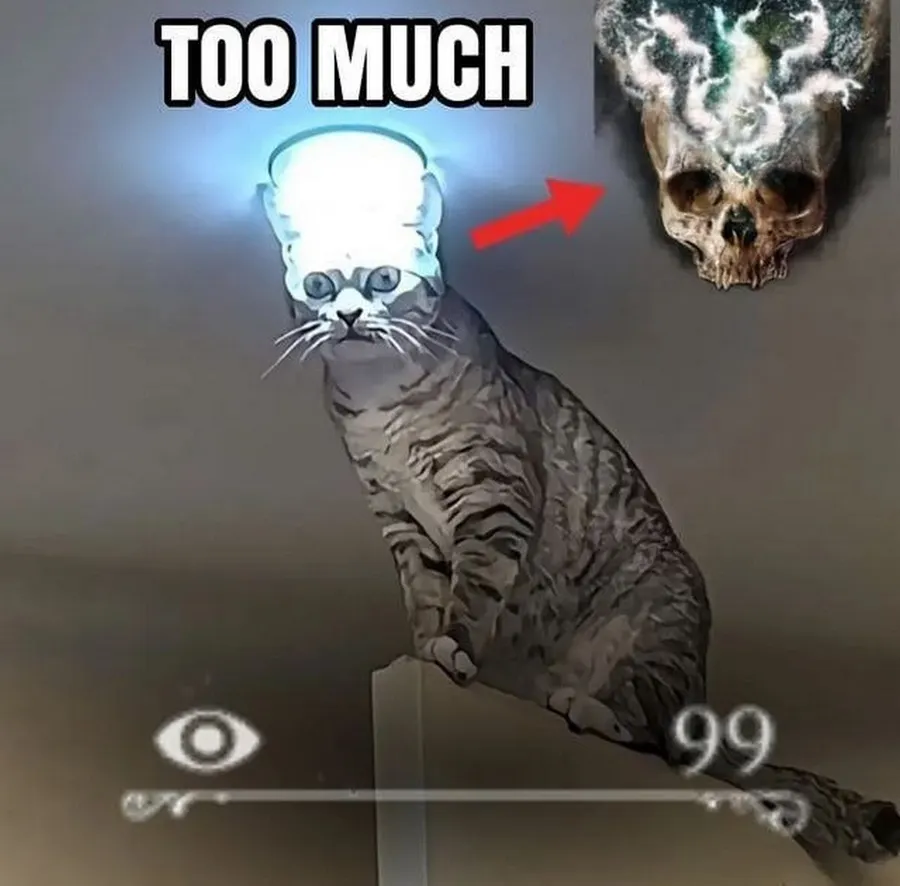 Untitled meme
