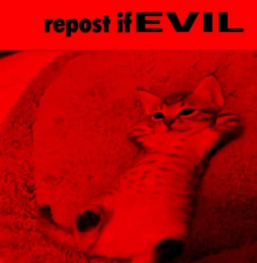 Untitled meme
