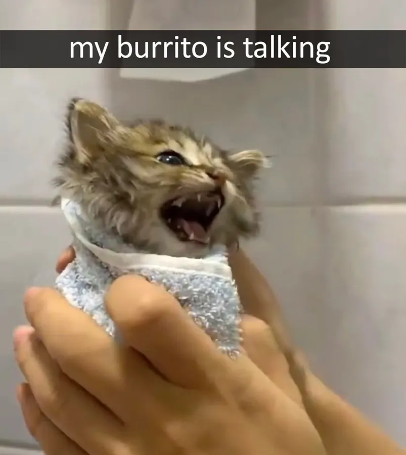 Untitled meme