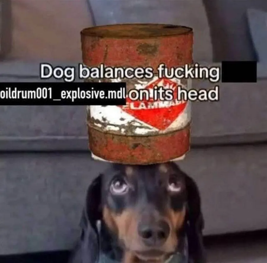 Untitled meme