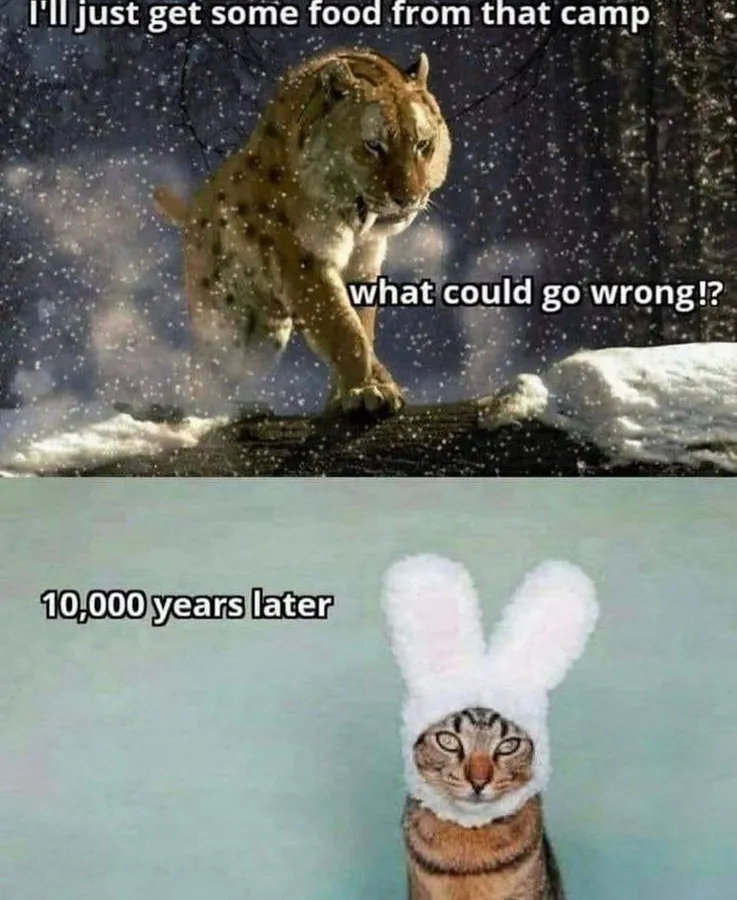 Untitled meme