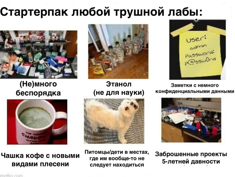 Untitled meme