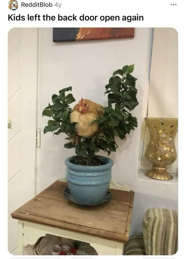 Untitled meme