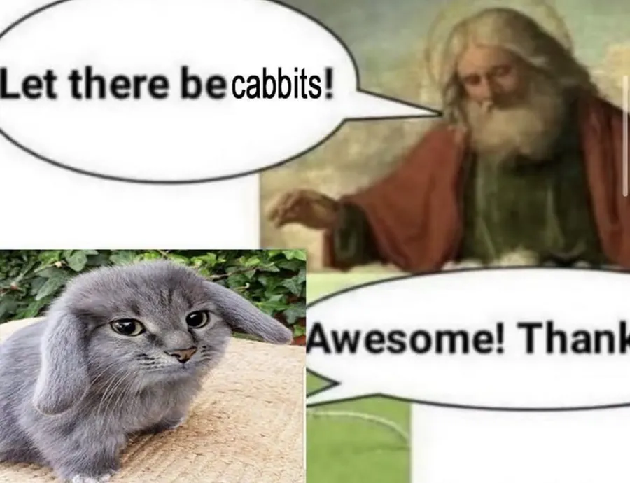 Untitled meme