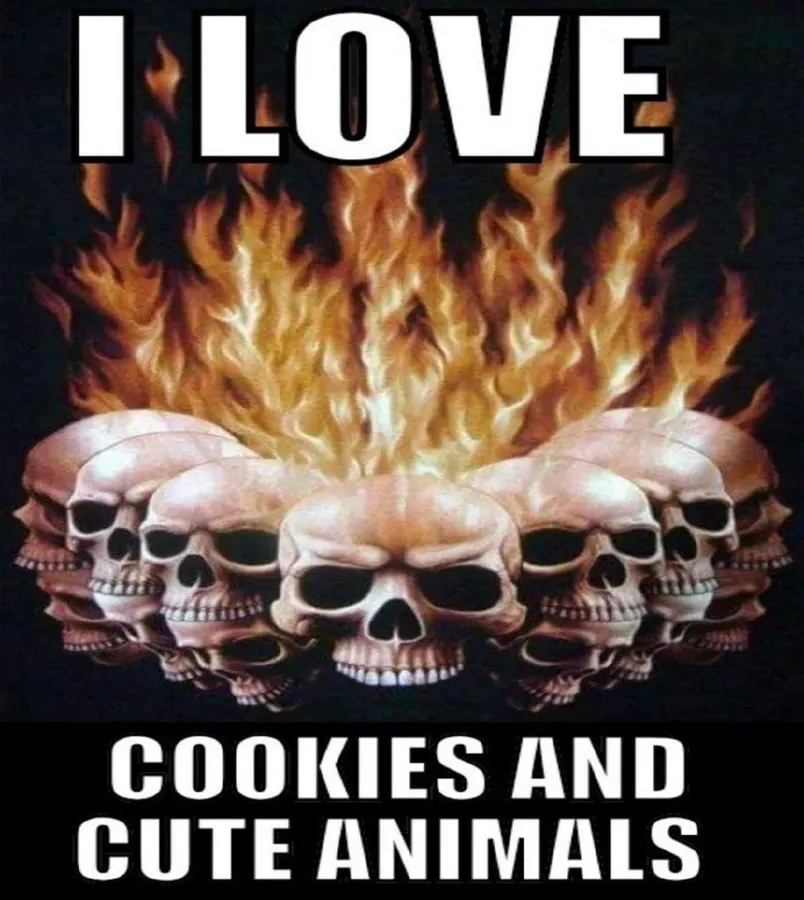 Untitled meme