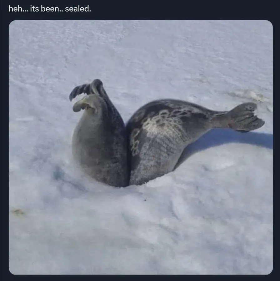 Untitled meme