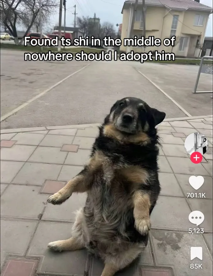 Untitled meme