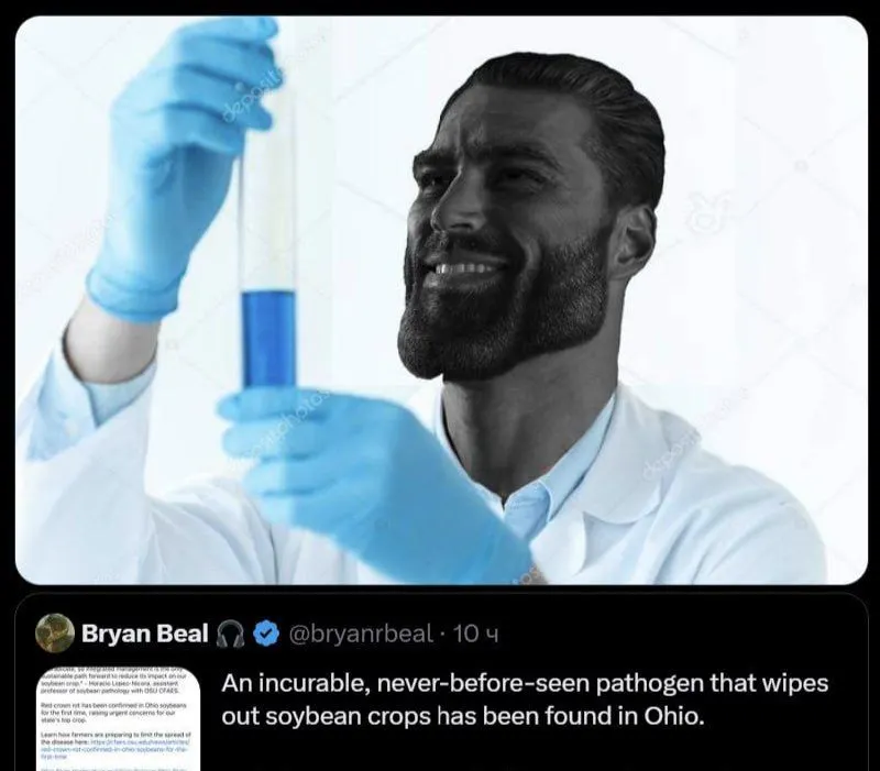 Untitled meme