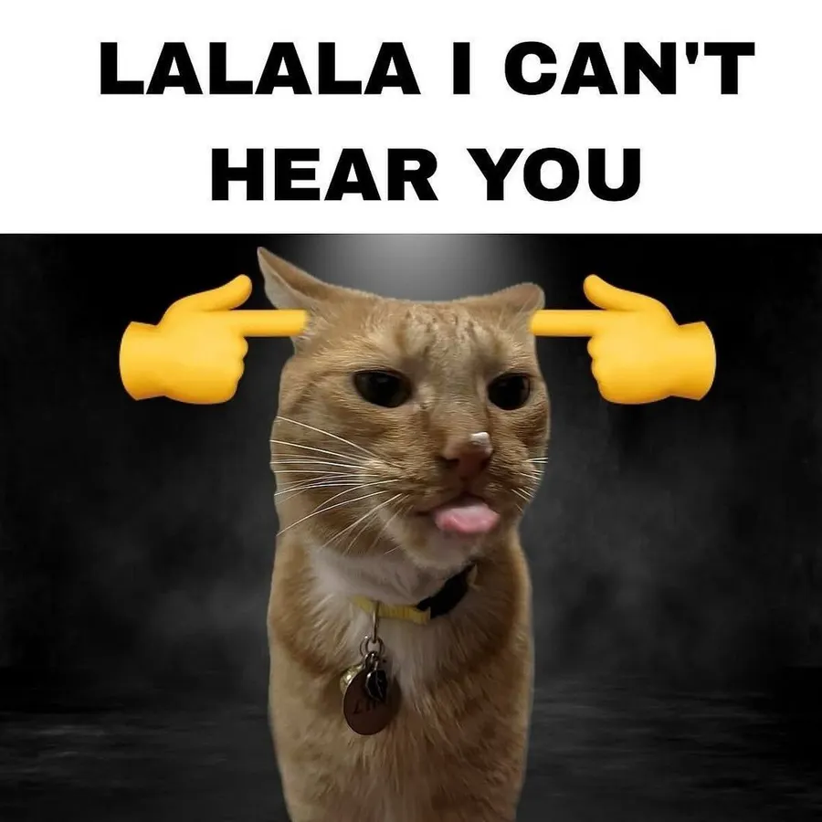 Untitled meme