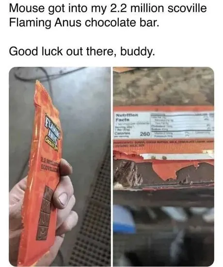 Untitled meme