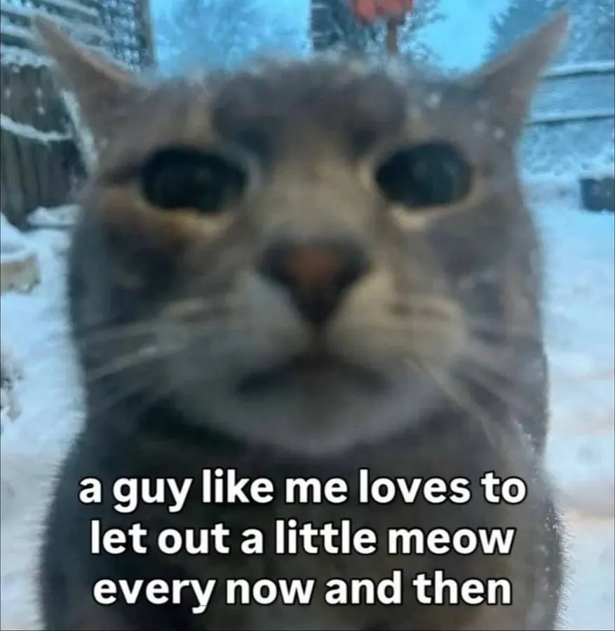 Untitled meme