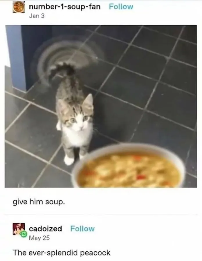Untitled meme
