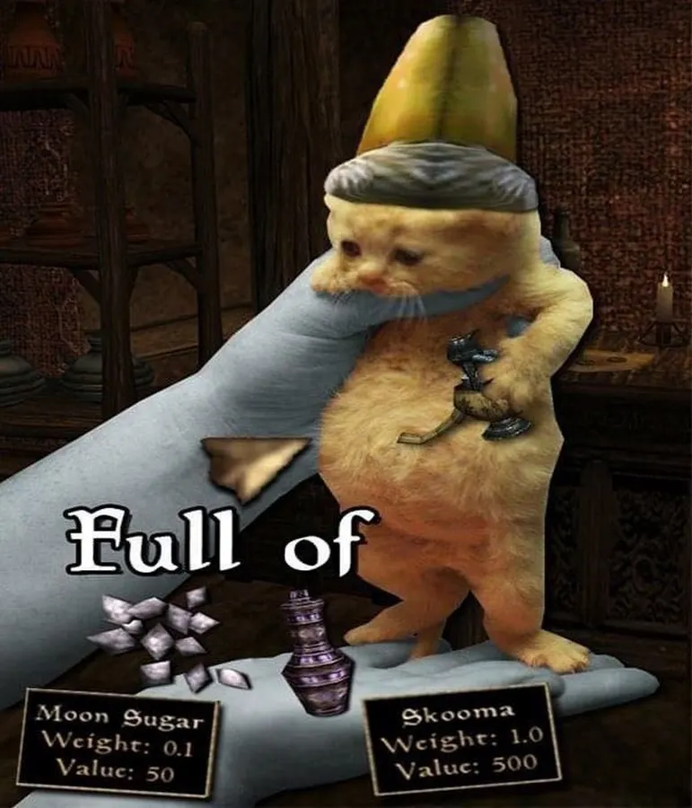 Untitled meme
