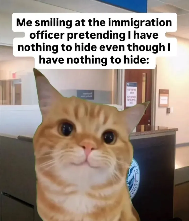 Untitled meme