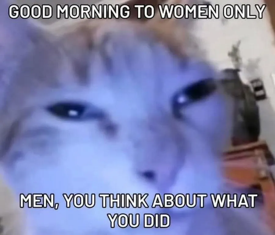 Untitled meme