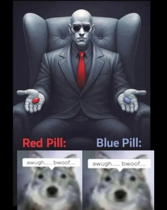 Untitled meme