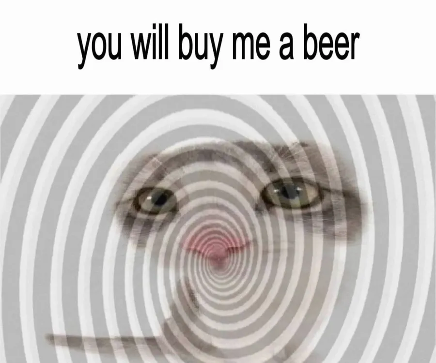 Untitled meme