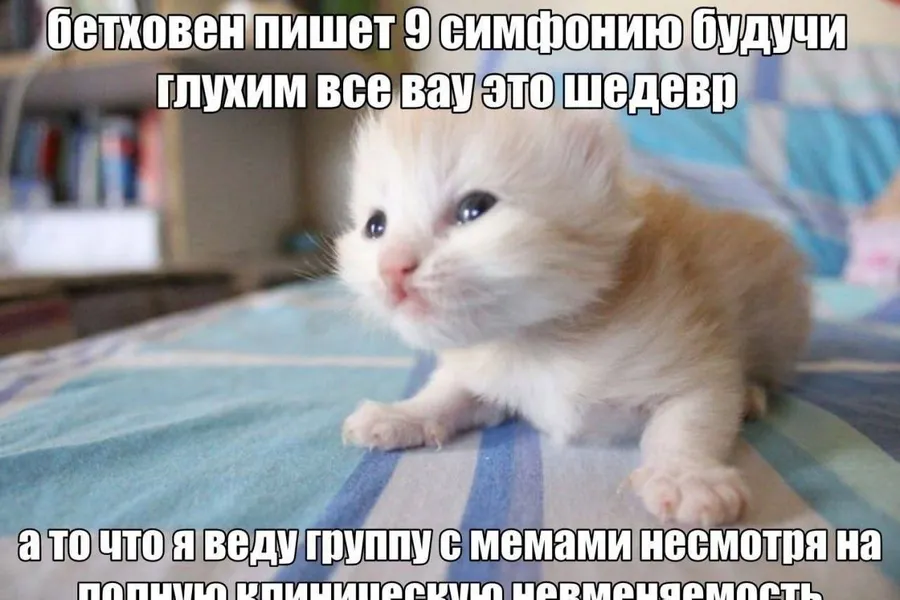 Untitled meme